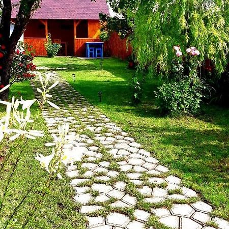 Casa Pavel Jurilovca Villa Bagian luar foto