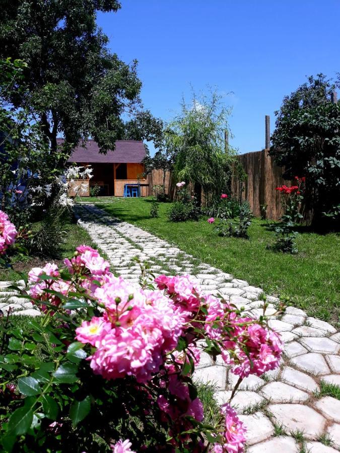 Casa Pavel Jurilovca Villa Bagian luar foto