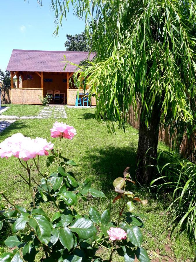 Casa Pavel Jurilovca Villa Bagian luar foto