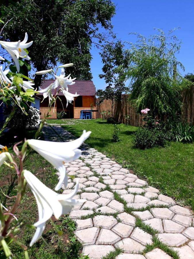 Casa Pavel Jurilovca Villa Bagian luar foto